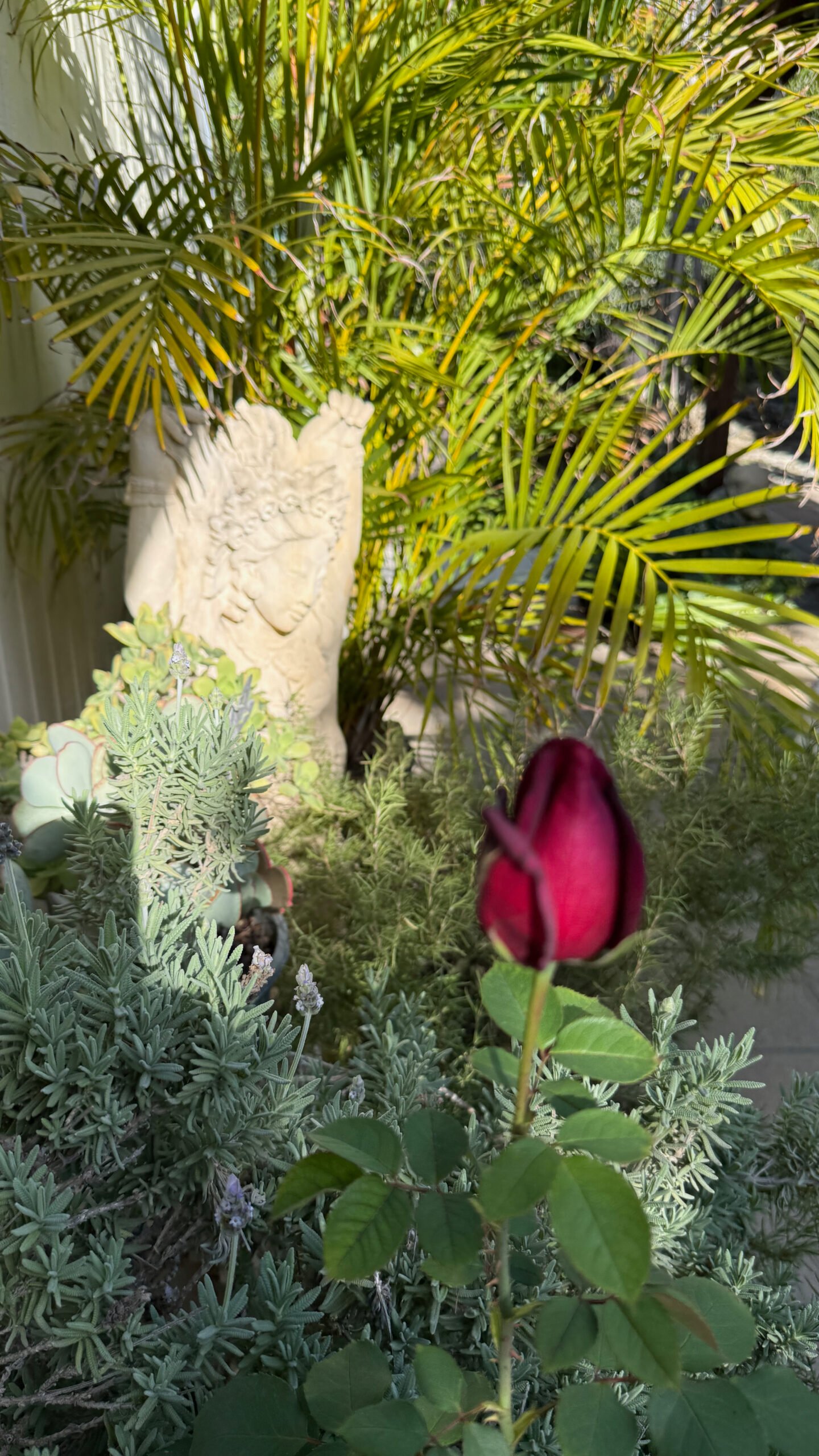 Red rose with rosemarie, palm tree and statue on the background 